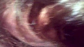 sucking my buddy's cock in casual gay blowjob