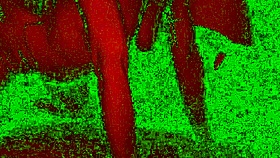 oh yeah, bad light pervert fucks hard!