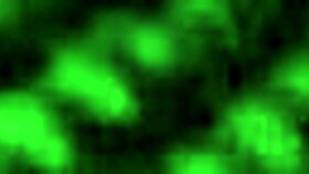 sexy crossdresser bent over for doggystyle cumshot