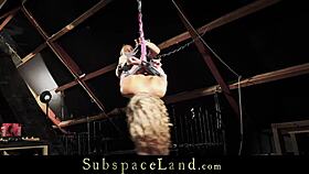 Hey, bondage newbie gets closeup pussy masturbation while hogtied! 😜