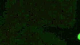 Magical Anal Sex with My Hot Stepsister 😍 Sislust Fun