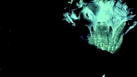 look at this vintage taboo scene where she bends over for doggystyle with hairy pussy outdoors