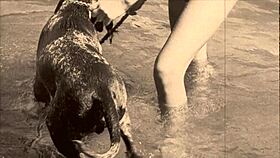 look at this vintage taboo scene where she bends over for doggystyle with hairy pussy outdoors