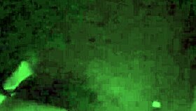 saraminerva gets her ass fucked from the beginning to the end in intense anal scene