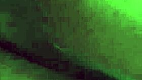 first anal blowjob gift to chef with big black cock!