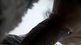 Chubby Redwood Vs Ms Mowett With Fat Blowjob Latina