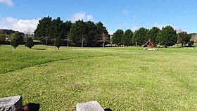 Girl flashes pussy and big tits in public park, stranger massages her ass 😏