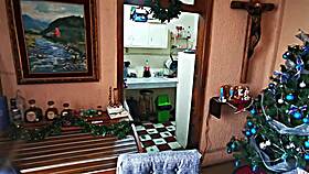 beauty tranny flashes upskirt in public with bold outdoor style.