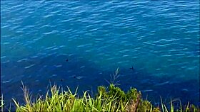 Naked and Bold on Florianopolis Beaches in Brazil