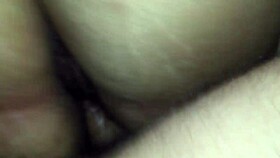 Europa from Brazil visits Florida for cultural exploration