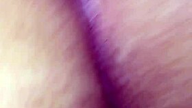 Europa from Brazil visits Florida for cultural exploration