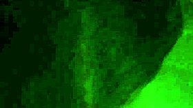 Wife Fingers Herself in Intimate Masturbation Session