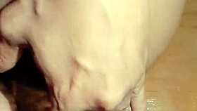 Myanmar Gay Homemade Anal Insertion Is So Intense! 🔥