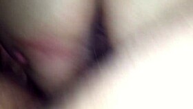 Europa from Brazil visits Florida for cultural exploration