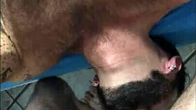 Me and my furry boy getting hairy bareback fun with big cocks?