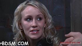 T Beauty's Fuck Holes Bound And Rough