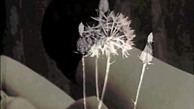 Wow, vintage hairy English beaver!