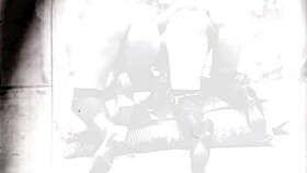 vintage pornostalgia brings back memories of retro cartoons and antique vibes in a casual stroll down memory lane