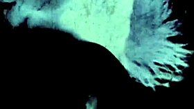 Wow, vintage hairy English beaver!