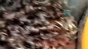 flc fat latin cock swallows cum like a pro 😏💦