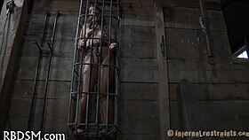 Shocking Honey Into Submission