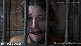 Shocking Honey Into Submission