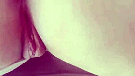 He took her pussy and ass until cum.