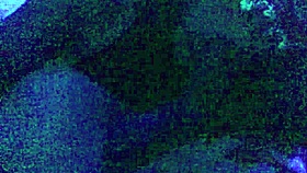 Compilation of redfantasies shorts freebie