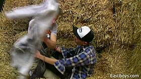 why are these 18 twinks sucking big cocks?