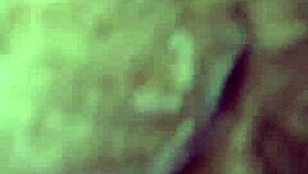 playing chini wini bingo hot with a peruvian twist on lxtube.com