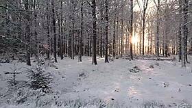 Beauty Climaxes Twice on Strong Cock