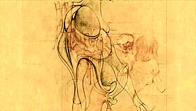 Vintage Erotic Illustrations Burst With Intensity.