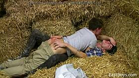 why are these 18 twinks sucking big cocks?