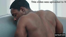 gay black big dick fucking twink ass squirting first time?