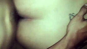 hard penetration with karly bebe in hentai style, licking latina pussy