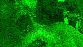 Oh wow, my petit franckydee tastes the lucky one I'll suck in my mouth!