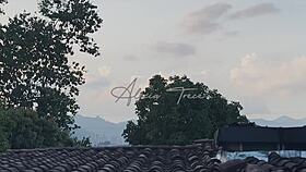 Religious man struggles with lust while preaching