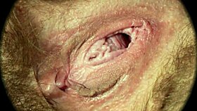 Explore Hairy Pussy Close Up In Hd By Rumesco