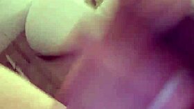 nuevo tributo para la pepina chilena