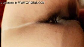 女王様、ストリッパーに挑戦、ズームアップ