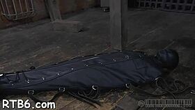 Harsh whipping for that enchanting gal, isn't it?