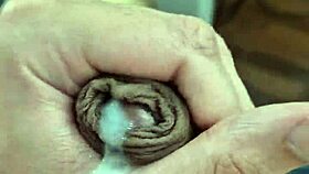 wanna suck this juicy cock? 😏 it's so tempting with that twink vibe