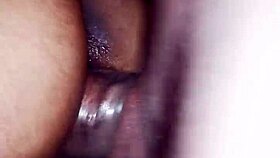 he says, 'fodendo a moreninha no motel, ela geme alto'