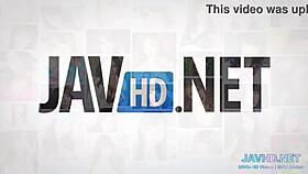 i'm watchin true asian anal vol 1, with all the assfuckin and hardcore stuff, it's so good.