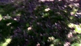 Chrissy Saunders gets fucked rough