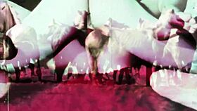 in vintage times, taboo pussy and pooch in doggystyle with hairy tits