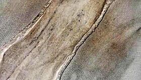 Dirty panties of the emo neighbor.