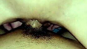 La Hermanita Monta Profesional