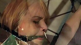 Web Of Pain And Pleasures