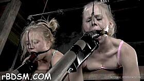 want free sadomasochism clips with blowjobs